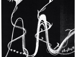 ALUNIZAJE EN BLANCO Y NEGRO